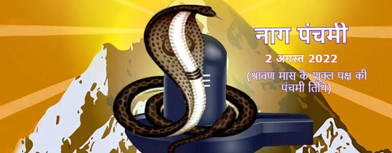 nag panchami puja vidhi